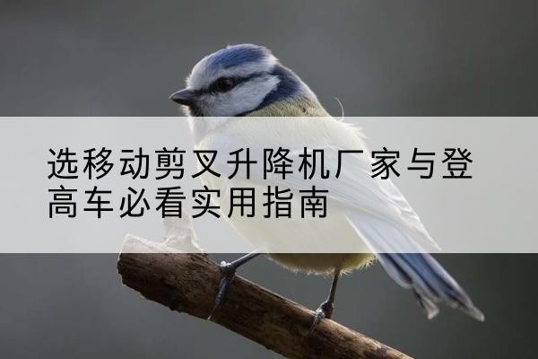 民乐电动升降机厂家-选移动剪叉升降机厂家与登高车必看实用指南