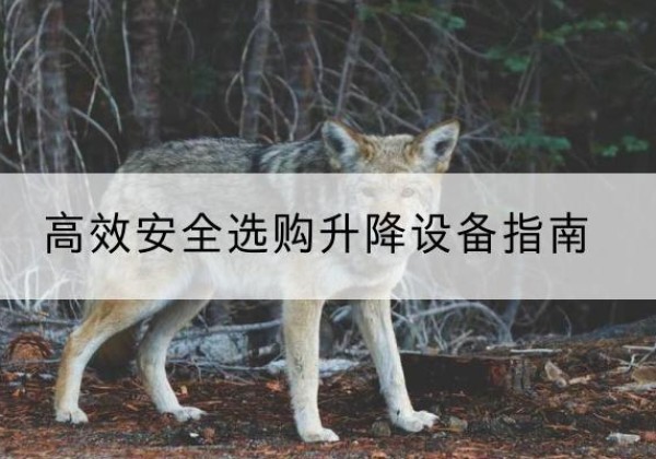 民乐升降货梯厂家推荐-*安全选购升降设备指南