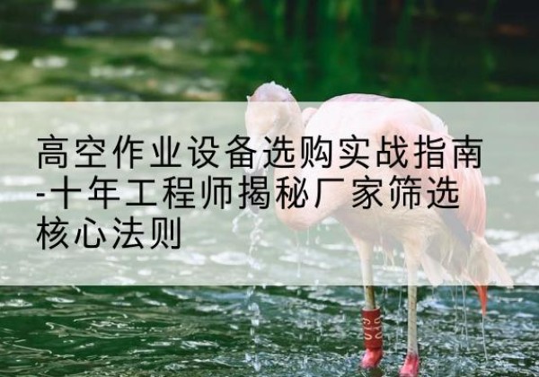 民乐剪叉式升降机厂家-高空作业设备选购实战指南-十年工程师揭秘厂家筛选核心法则